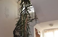 turkiye/antalya/serik/flash-hotel-1660765.jpg