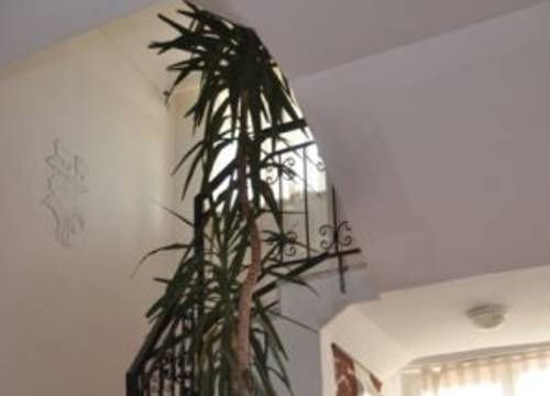 turkiye/antalya/serik/flash-hotel-1660765.jpg