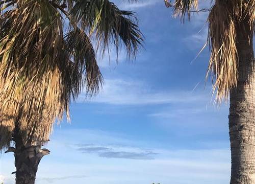 turkiye/antalya/side/elit-koseoglu-hotel-side-15298f7c.jpeg