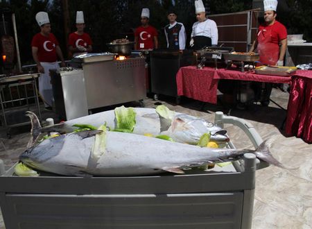 turkiye/antalya/side/side-west-park-hotel-71400483.jpg