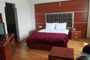 turkiye/ardahan/ardahanmerkez/kafkas-ari-otel-44b46590.jpg