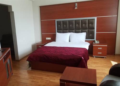 turkiye/ardahan/ardahanmerkez/kafkas-ari-otel-44b46590.jpg