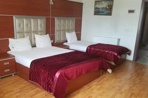 turkiye/ardahan/ardahanmerkez/kafkas-ari-otel-9de84570.jpg