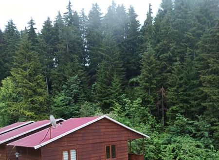 turkiye/artvin/ardanuc/danzot-tatil-koyu_3174a5a7.jpg