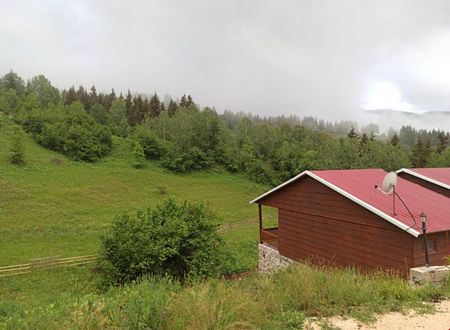 turkiye/artvin/ardanuc/danzot-tatil-koyu_6818ab24.jpg