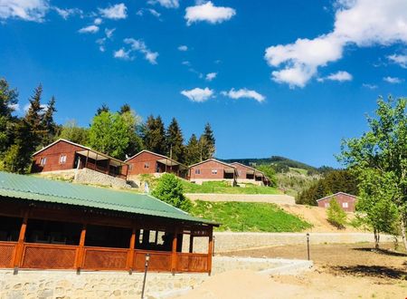 turkiye/artvin/ardanuc/danzot-tatil-koyu_9d557d2b.jpg