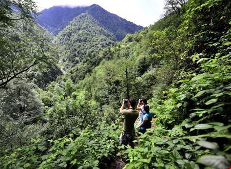 turkiye/artvin/arhavi/mencuna-konaklari_fa8ae797.jpg