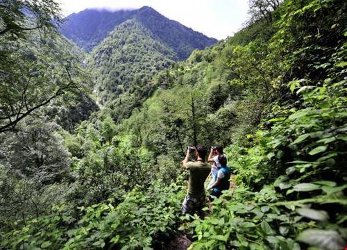 turkiye/artvin/arhavi/mencuna-konaklari_fa8ae797.jpg