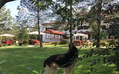 Pınar Kır Evi · 3
