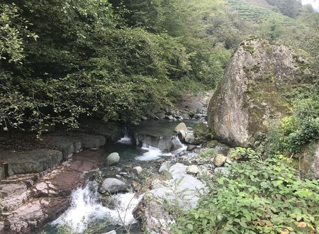 turkiye/artvin/arhavi/pinar-kir-evi-6ff09b18.jpg