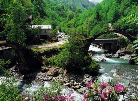turkiye/artvin/arhavi/pinar-kir-evi-b02c9649.jpg