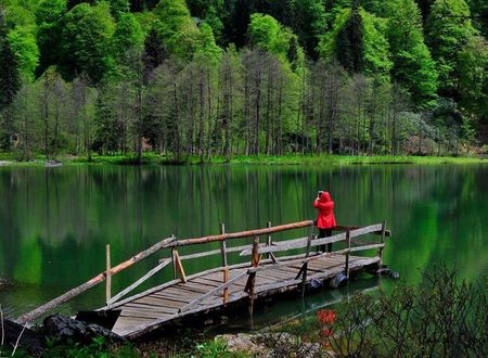 turkiye/artvin/arhavi/pinar-kir-evi-d4aff87f.jpg