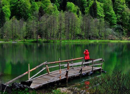 turkiye/artvin/arhavi/pinar-kir-evi-d4aff87f.jpg