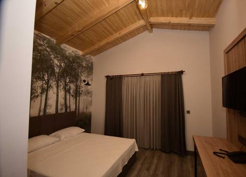 turkiye/artvin/artvin-merkez/koru-butik-otel_388ed4ea.jpg
