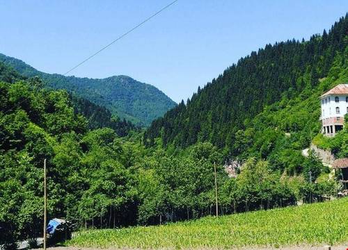turkiye/artvin/artvin/lamazi-dag-evi_822d8115.jpg