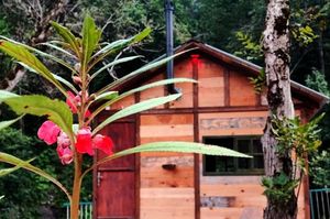 turkiye/artvin/borcka/kameni-tatil-koyu-restoran_29fc3d6b.jpg