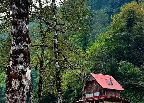 turkiye/artvin/borcka/kameni-tatil-koyu-restoran_a5655954.jpg