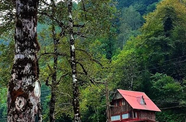 turkiye/artvin/borcka/kameni-tatil-koyu-restoran_a5655954.jpg