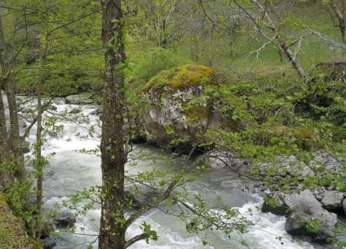 turkiye/artvin/borcka/klaskur-adas-koy-evi-restaurant-616912621.jpg