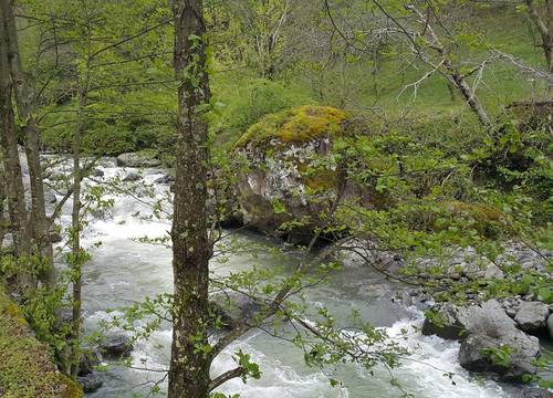 turkiye/artvin/borcka/klaskur-adas-koy-evi-restaurant_d5d94b9e.jpg