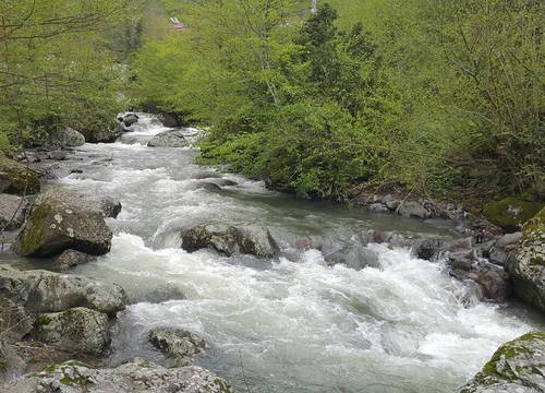 turkiye/artvin/borcka/klaskur-adas-koy-evi-restaurant_ff5a6fb6.jpg