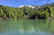 turkiye/artvin/borcka/lapera_1e4f9d7f.jpg