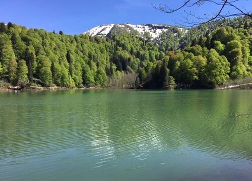 turkiye/artvin/borcka/lapera_1e4f9d7f.jpg