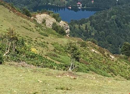 turkiye/artvin/borcka/lapera_2a047ea3.jpg
