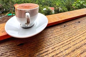 turkiye/artvin/borcka/macahelhan_18cf8b03.jpg