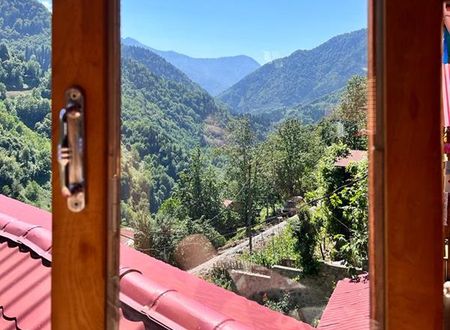 turkiye/artvin/borcka/macahelhan_88429b7e.jpg