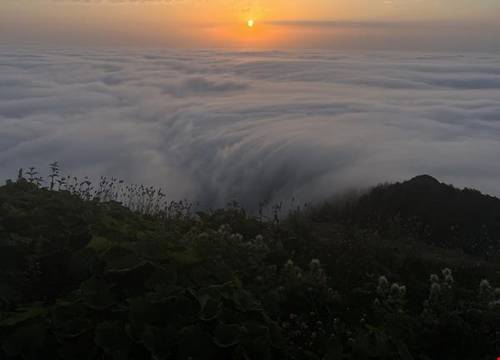 turkiye/artvin/borcka/satibe-yayla-evi_c92d465a.jpg