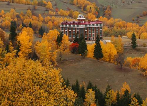 turkiye/artvin/savsat/black-forest-hotelspa_69d05f59.jpg
