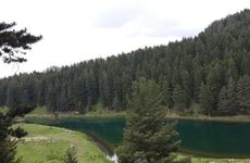 turkiye/artvin/savsat/disharo-yayla-evleri_6e96bf5e.jpg