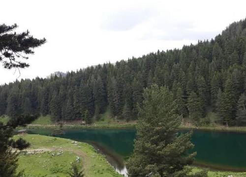 turkiye/artvin/savsat/disharo-yayla-evleri_6e96bf5e.jpg