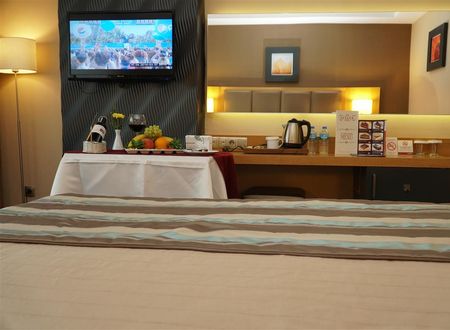 turkiye/aydin/aydin-merkez/efeler-hotel-66286d4e.jpg