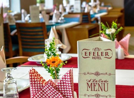 turkiye/aydin/aydin-merkez/efeler-hotel-fa22f4be.jpg