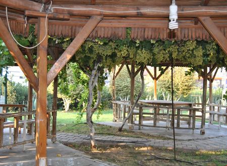 turkiye/aydin/buharkent/guney-termal-otel-spa_14e12cb6.jpg