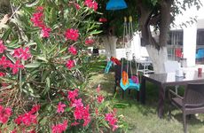 turkiye/aydin/didim/aelbistan-otel_4a5dc02c.jpg