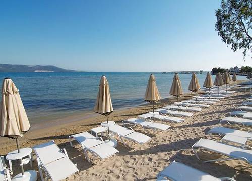 turkiye/aydin/didim/aurum-spa-beach-resort-742265654.jpg