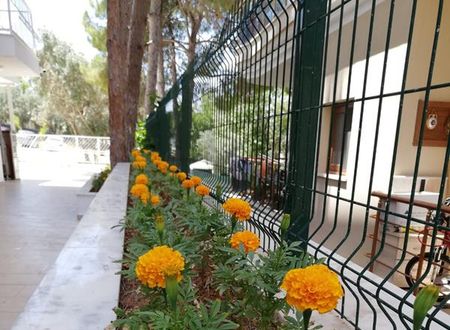 turkiye/aydin/didim/cicek-apart-otel_041f32b4.jpg