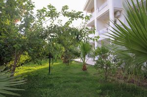 turkiye/aydin/didim/delight-boutique-otel_2bb9e2cc.jpg