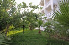 turkiye/aydin/didim/delight-boutique-otel_87e0ff8e.jpg