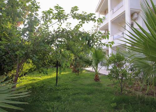 turkiye/aydin/didim/delight-boutique-otel_87e0ff8e.jpg