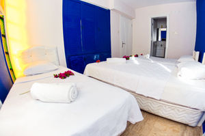 turkiye/aydin/didim/didim-alp-otel_327e2d99.jpg