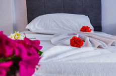 turkiye/aydin/didim/didim-alp-otel_f2b0296e.jpg