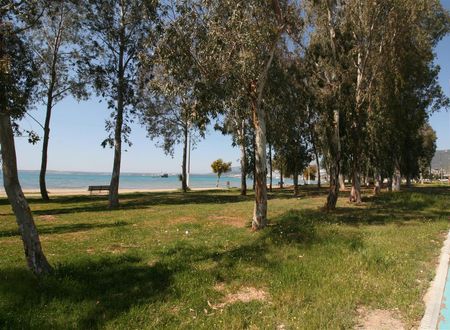 turkiye/aydin/didim/garden-butik-hotel-c99075fc.jpg