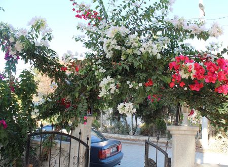 turkiye/aydin/didim/mavi-restaurant-apartments_b991c9e9.jpg