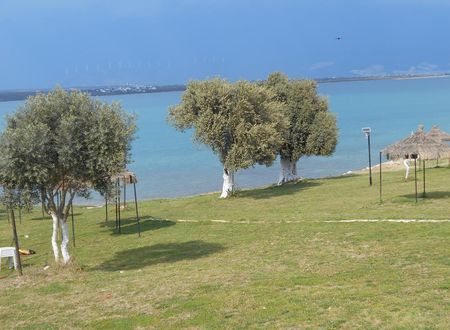 turkiye/aydin/didim/reds-bungalow_fa045b36.jpg