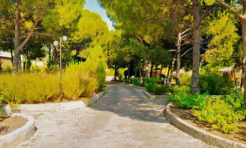 turkiye/aydin/germencik/elitium-thermal-hotel_0a2b6e58.jpg