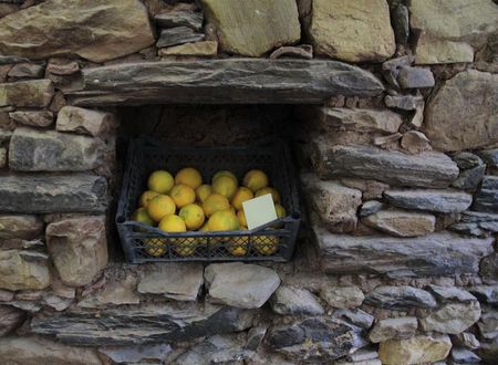 turkiye/aydin/karacasu/aphrodisias-dandalos-hotel-ce45dbee.jpg
